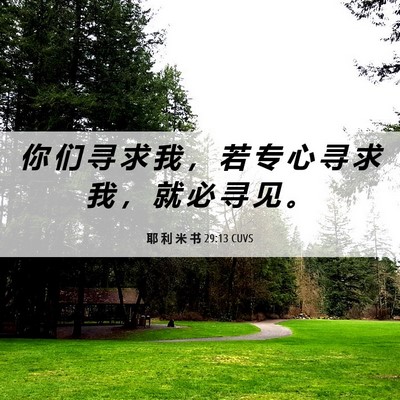 Picture 06 - 耶 利 米 书 29:13 CUVS - 你 们 寻 求 我 ， 若 专 心 寻 求 我 - Bible Verse Picture