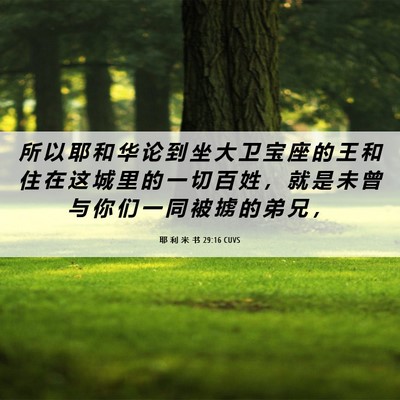 Picture 06 - 耶 利 米 书 29:16 CUVS - 所 以 耶 和 华 论 到 坐 大 卫 宝 座 - Bible Verse Picture