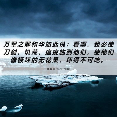 Picture 06 - 耶 利 米 书 29:17 CUVS - 万 军 之 耶 和 华 如 此 说 ： 看 哪 - Bible Verse Picture