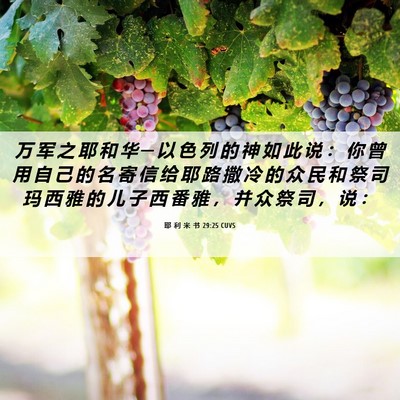 Picture 06 - 耶 利 米 书 29:25 CUVS - 万 军 之 耶 和 华 ─ 以 色 列 的 神 - Bible Verse Picture
