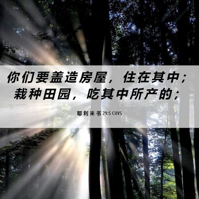 Picture 06 - 耶 利 米 书 29:5 CUVS - 你 们 要 盖 造 房 屋 ， 住 在 其 中 - Bible Verse Picture