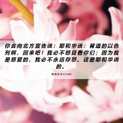 Picture 06 - 耶 利 米 书 3:12 CUVS - 你 去 向 北 方 宣 告 说 ： 耶 和 华 - Bible Verse Picture