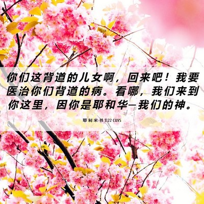 Picture 06 - 耶 利 米 书 3:22 CUVS - 你 们 这 背 道 的 儿 女 啊 ， 回 来 - Bible Verse Picture