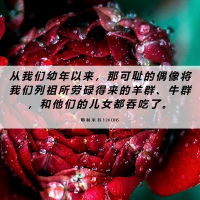 Picture 06 - 耶 利 米 书 3:24 CUVS - 从 我 们 幼 年 以 来 ， 那 可 耻 的 - Bible Verse Picture
