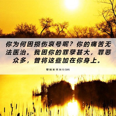 Picture 06 - 耶 利 米 书 30:15 CUVS - 你 为 何 因 损 伤 哀 号 呢 ？ 你 的 - Bible Verse Picture
