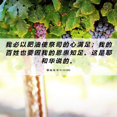 Picture 06 - 耶 利 米 书 31:14 CUVS - 我 必 以 肥 油 使 祭 司 的 心 满 足 - Bible Verse Picture