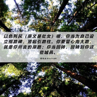 Picture 06 - 耶 利 米 书 31:21 CUVS - 以 色 列 民 （ 原 文 是 处 女 ） 哪 - Bible Verse Picture
