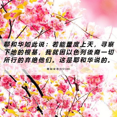 Picture 06 - 耶 利 米 书 31:37 CUVS - 耶 和 华 如 此 说 ： 若 能 量 度 上 - Bible Verse Picture