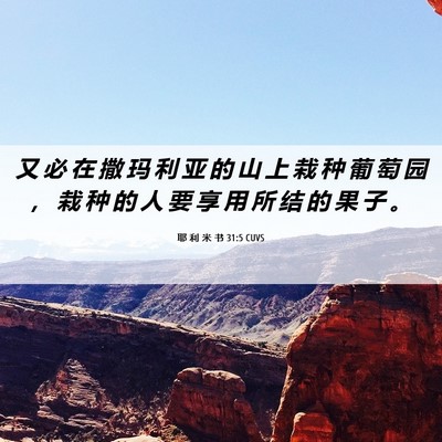 Picture 06 - 耶 利 米 书 31:5 CUVS - 又 必 在 撒 玛 利 亚 的 山 上 栽 种 - Bible Verse Picture