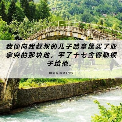 Picture 06 - 耶 利 米 书 32:9 CUVS - 我 便 向 我 叔 叔 的 儿 子 哈 拿 篾 - Bible Verse Picture
