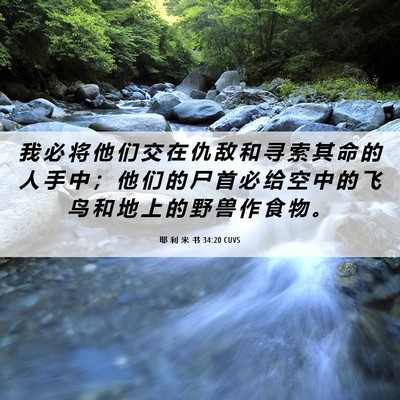 Picture 06 - 耶 利 米 书 34:20 CUVS - 我 必 将 他 们 交 在 仇 敌 和 寻 索 - Bible Verse Picture