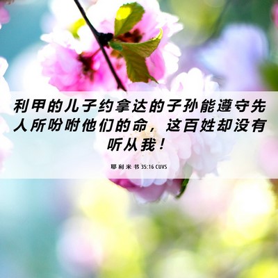 Picture 06 - 耶 利 米 书 35:16 CUVS - 利 甲 的 儿 子 约 拿 达 的 子 孙 能 - Bible Verse Picture