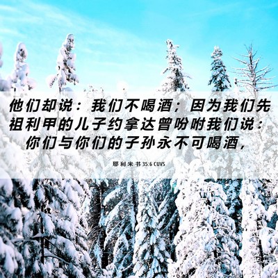 Picture 06 - 耶 利 米 书 35:6 CUVS - 他 们 却 说 ： 我 们 不 喝 酒 ； 因 - Bible Verse Picture