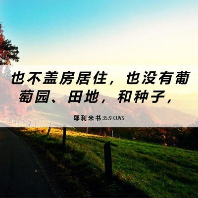 Picture 06 - 耶 利 米 书 35:9 CUVS - 也 不 盖 房 居 住 ， 也 没 有 葡 萄 - Bible Verse Picture