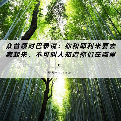 Picture 06 - 耶 利 米 书 36:19 CUVS - 众 首 领 对 巴 录 说 ： 你 和 耶 利 - Bible Verse Picture