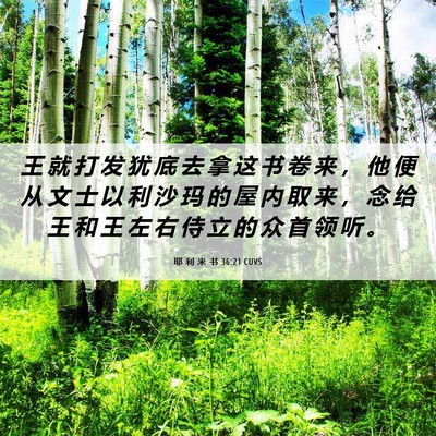 Picture 06 - 耶 利 米 书 36:21 CUVS - 王 就 打 发 犹 底 去 拿 这 书 卷 来 - Bible Verse Picture