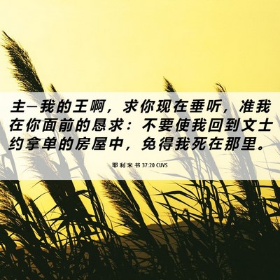 Picture 06 - 耶 利 米 书 37:20 CUVS - 主 ─ 我 的 王 啊 ， 求 你 现 在 垂 - Bible Verse Picture