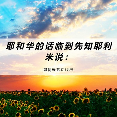 Picture 06 - 耶 利 米 书 37:6 CUVS - 耶 和 华 的 话 临 到 先 知 耶 利 米 - Bible Verse Picture