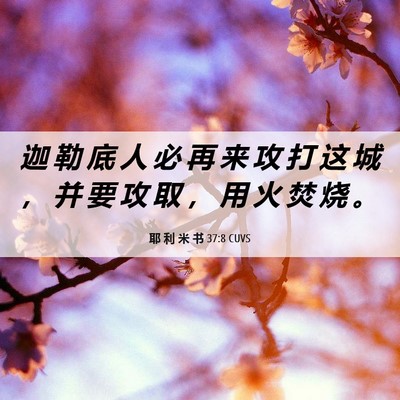 Picture 06 - 耶 利 米 书 37:8 CUVS - 迦 勒 底 人 必 再 来 攻 打 这 城 ， - Bible Verse Picture