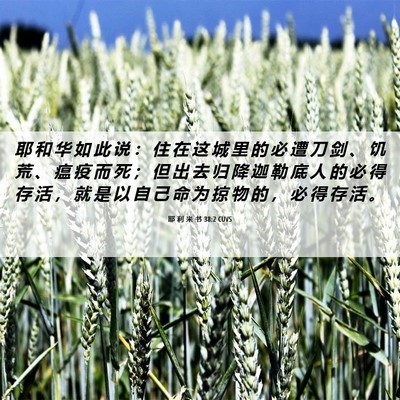 Picture 06 - 耶 利 米 书 38:2 CUVS - 耶 和 华 如 此 说 ： 住 在 这 城 里 - Bible Verse Picture