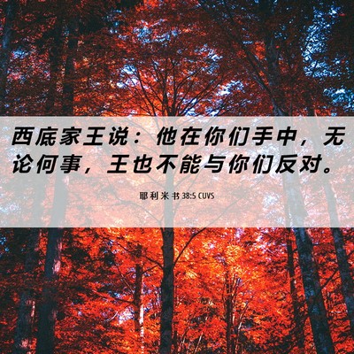 Picture 06 - 耶 利 米 书 38:5 CUVS - 西 底 家 王 说 ： 他 在 你 们 手 中 - Bible Verse Picture