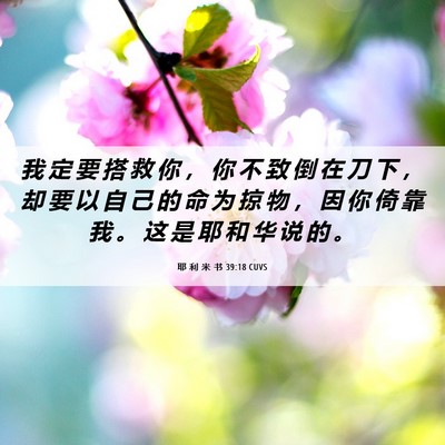 Picture 06 - 耶 利 米 书 39:18 CUVS - 我 定 要 搭 救 你 ， 你 不 致 倒 在 - Bible Verse Picture