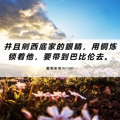 Picture 06 - 耶 利 米 书 39:7 CUVS - 并 且 剜 西 底 家 的 眼 睛 ， 用 铜 - Bible Verse Picture