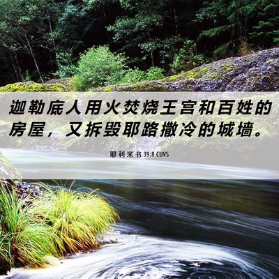 Picture 06 - 耶 利 米 书 39:8 CUVS - 迦 勒 底 人 用 火 焚 烧 王 宫 和 百 - Bible Verse Picture