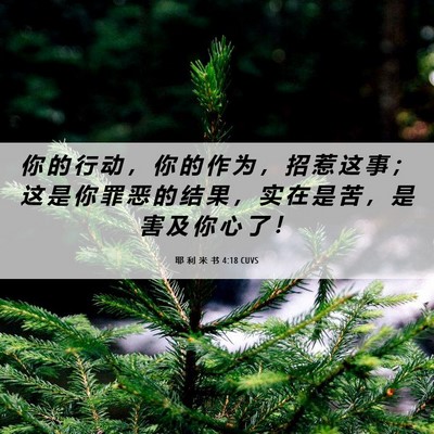 Picture 06 - 耶 利 米 书 4:18 CUVS - 你 的 行 动 ， 你 的 作 为 ， 招 惹 - Bible Verse Picture