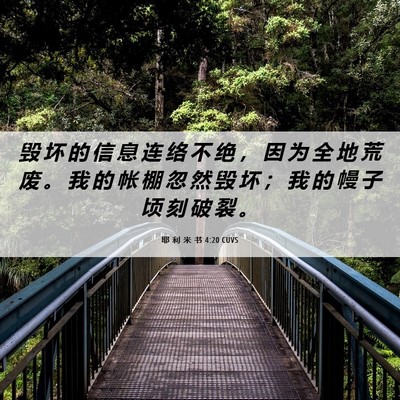 Picture 06 - 耶 利 米 书 4:20 CUVS - 毁 坏 的 信 息 连 络 不 绝 ， 因 为 - Bible Verse Picture