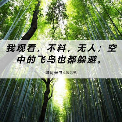 Picture 06 - 耶 利 米 书 4:25 CUVS - 我 观 看 ， 不 料 ， 无 人 ； 空 中 - Bible Verse Picture