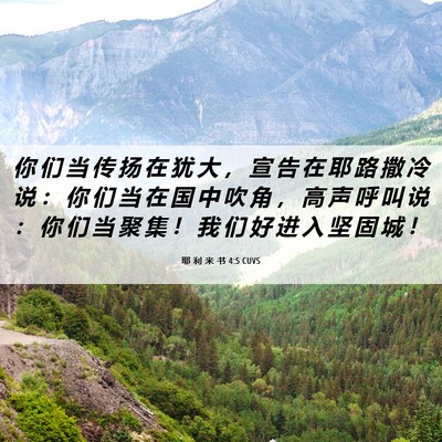 Picture 06 - 耶 利 米 书 4:5 CUVS - 你 们 当 传 扬 在 犹 大 ， 宣 告 在 - Bible Verse Picture