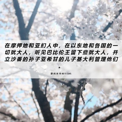 Picture 06 - 耶 利 米 书 40:11 CUVS - 在 摩 押 地 和 亚 扪 人 中 ， 在 以 - Bible Verse Picture