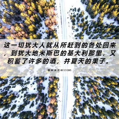 Picture 06 - 耶 利 米 书 40:12 CUVS - 这 一 切 犹 大 人 就 从 所 赶 到 的 - Bible Verse Picture