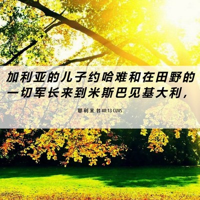 Picture 06 - 耶 利 米 书 40:13 CUVS - 加 利 亚 的 儿 子 约 哈 难 和 在 田 - Bible Verse Picture