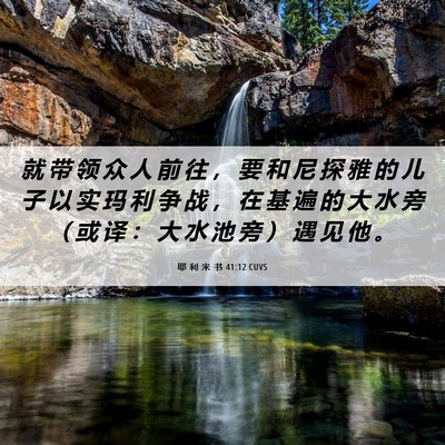 Picture 06 - 耶 利 米 书 41:12 CUVS - 就 带 领 众 人 前 往 ， 要 和 尼 探 - Bible Verse Picture