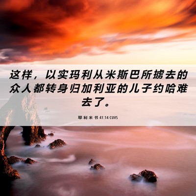 Picture 06 - 耶 利 米 书 41:14 CUVS - 这 样 ， 以 实 玛 利 从 米 斯 巴 所 - Bible Verse Picture