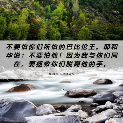 Picture 06 - 耶 利 米 书 42:11 CUVS - 不 要 怕 你 们 所 怕 的 巴 比 伦 王 - Bible Verse Picture