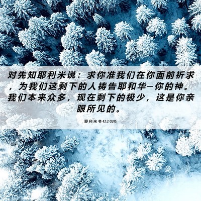 Picture 06 - 耶 利 米 书 42:2 CUVS - 对 先 知 耶 利 米 说 ： 求 你 准 我 - Bible Verse Picture