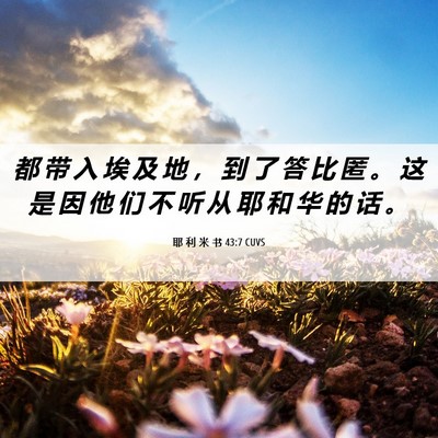 Picture 06 - 耶 利 米 书 43:7 CUVS - 都 带 入 埃 及 地 ， 到 了 答 比 匿 - Bible Verse Picture