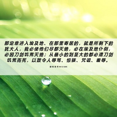 Picture 06 - 耶 利 米 书 44:12 CUVS - 那 定 意 进 入 埃 及 地 、 在 那 里 - Bible Verse Picture