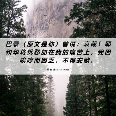 Picture 06 - 耶 利 米 书 45:3 CUVS - 巴 录 （ 原 文 是 你 ） 曾 说 ： 哀 - Bible Verse Picture