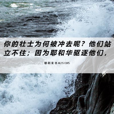 Picture 06 - 耶 利 米 书 46:15 CUVS - 你 的 壮 士 为 何 被 冲 去 呢 ？ 他 - Bible Verse Picture