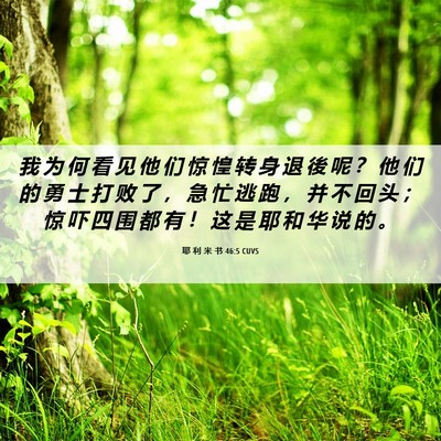 Picture 06 - 耶 利 米 书 46:5 CUVS - 我 为 何 看 见 他 们 惊 惶 转 身 退 - Bible Verse Picture