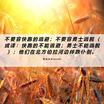 Picture 06 - 耶 利 米 书 46:6 CUVS - 不 要 容 快 跑 的 逃 避 ； 不 要 容 - Bible Verse Picture