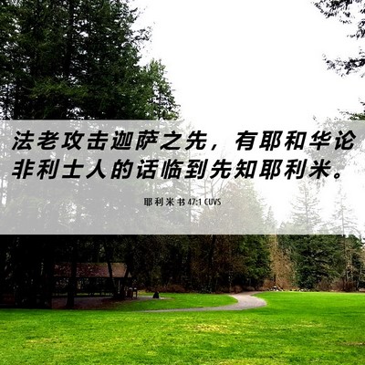 Picture 06 - 耶 利 米 书 47:1 CUVS - 法 老 攻 击 迦 萨 之 先 ， 有 耶 和 - Bible Verse Picture