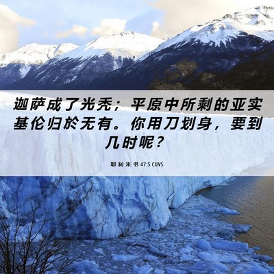 Picture 06 - 耶 利 米 书 47:5 CUVS - 迦 萨 成 了 光 秃 ； 平 原 中 所 剩 - Bible Verse Picture