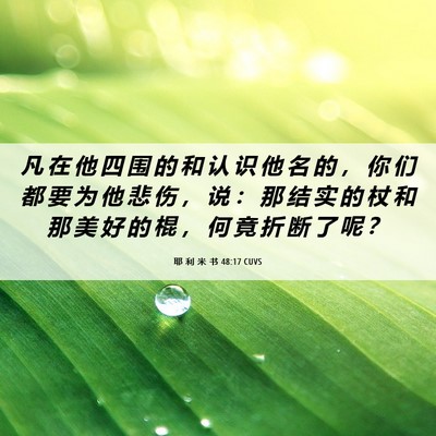 Picture 06 - 耶 利 米 书 48:17 CUVS - 凡 在 他 四 围 的 和 认 识 他 名 的 - Bible Verse Picture