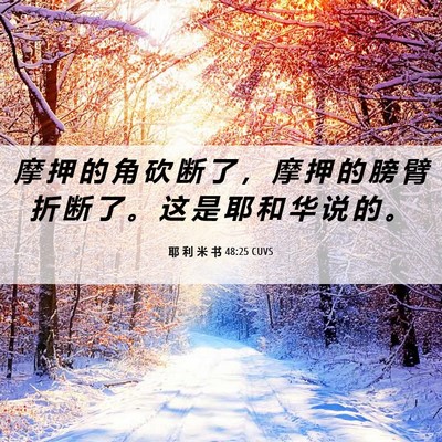 Picture 06 - 耶 利 米 书 48:25 CUVS - 摩 押 的 角 砍 断 了 ， 摩 押 的 膀 - Bible Verse Picture