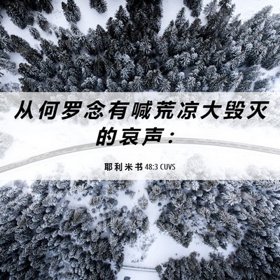 Picture 06 - 耶 利 米 书 48:3 CUVS - 从 何 罗 念 有 喊 荒 凉 大 毁 灭 的 - Bible Verse Picture
